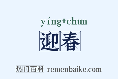 迎春是什么意思的图片